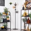Ripoll Staande lamp Amber, Duidelijk, Rookkleurig, 4-lichts