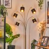 Alsen Staande lamp Messing, Zwart, 5-lichts