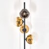 Ripoll Staande lamp Goud, Duidelijk, 4-lichts