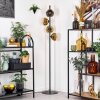 Ripoll Staande lamp Goud, Duidelijk, 4-lichts