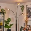 Nikkala Staande lamp Zwart, 3-lichts