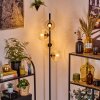 Koyoto Staande lamp Amber, Duidelijk, 4-lichts
