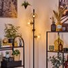 Koyoto Staande lamp Amber, Duidelijk, 4-lichts
