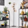 Koyoto Staande lamp Amber, Duidelijk, 4-lichts