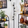 Ripoll Staande lamp Duidelijk, 6-lichts
