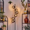 Ripoll Staande lamp Rookkleurig, 6-lichts