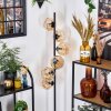 Ripoll Staande lamp Amber, 6-lichts