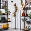 Ripoll Staande lamp Goud, Duidelijk, 6-lichts