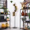 Ripoll Staande lamp Goud, Duidelijk, 6-lichts