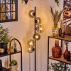 Ripoll Staande lamp Duidelijk, Rookkleurig, 6-lichts