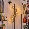 Ripoll Staande lamp Duidelijk, Rookkleurig, 6-lichts