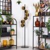Ripoll Staande lamp Goud, 6-lichts