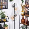 Ripoll Staande lamp Amber, Duidelijk, Rookkleurig, 6-lichts
