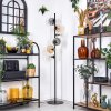 Ripoll Staande lamp Amber, Duidelijk, Rookkleurig, 6-lichts