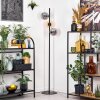 Gastor Staande lamp 34 cm Amber, Rookkleurig, 3-lichts