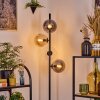 Gastor Staande lamp 34 cm Amber, Duidelijk, Rookkleurig, 4-lichts