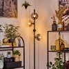 Gastor Staande lamp 34 cm Amber, Duidelijk, Rookkleurig, 4-lichts