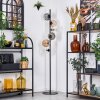 Ripoll Staande lamp Amber, Duidelijk, Rookkleurig, 6-lichts