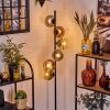 Ripoll Staande lamp Goud, Duidelijk, Koperkleurig, Rookkleurig, 6-lichts