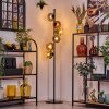 Ripoll Staande lamp Goud, Duidelijk, Koperkleurig, Rookkleurig, 6-lichts