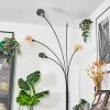 Nikkala Staande lamp Zwart, 5-lichts