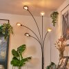 Nikkala Staande lamp Zwart, 5-lichts