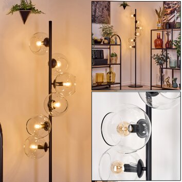 Koyoto Staande lamp 31 cm Duidelijk, 6-lichts