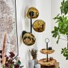 Ripoll Kogellampje, Wandlamp Goud, 3-lichts