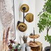 Koyoto Kogellampje, Wandlamp Goud, 3-lichts