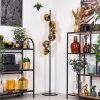 Koyoto Staande lamp 31 cm Goud, Duidelijk, 6-lichts