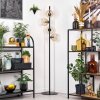 Ripoll Staande lamp Amber, Duidelijk, 4-lichts