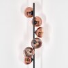 Koyoto Staande lamp 31 cm Duidelijk, Koperkleurig, 6-lichts