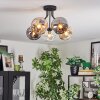 Ripoll Plafondlamp, Kogellampje Amber, Duidelijk, Rookkleurig, 5-lichts