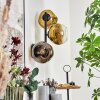 Ripoll Kogellampje, Wandlamp Goud, Duidelijk, 3-lichts