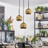 Koyoto Hanglamp, Kogellampje, Cluster hanglamp Goud, 3-lichts