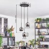 Ripoll Hanglamp, Kogellampje, Cluster hanglamp Chroom, Rookkleurig, 3-lichts