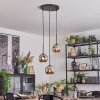 Ripoll Hanglamp, Kogellampje, Cluster hanglamp Chroom, Rookkleurig, 3-lichts