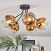 Koyoto Plafondlamp, Kogellampje 52 cm Goud, Duidelijk, 5-lichts
