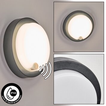 Jelad Wandlamp voor buiten, Wandlamp LED Zwart, 1-licht, Bewegingsmelder