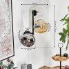 Ripoll Kogellampje, Wandlamp Amber, Duidelijk, Rookkleurig, 3-lichts