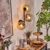 Ripoll Kogellampje, Wandlamp Amber, Duidelijk, Rookkleurig, 3-lichts