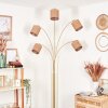 Soungou Staande lamp Messing, Zwart, 5-lichts