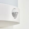 Heran Wandlamp voor buiten, Wandlamp LED Wit, 1-licht, Bewegingsmelder