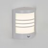 Heran Wandlamp voor buiten, Wandlamp LED Wit, 1-licht, Bewegingsmelder