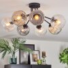 Ripoll Plafondlamp, Kogellampje Amber, Duidelijk, Rookkleurig, 7-lichts
