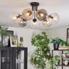Ripoll Plafondlamp, Kogellampje Amber, Duidelijk, Rookkleurig, 7-lichts