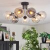 Ripoll Plafondlamp, Kogellampje Amber, Duidelijk, Rookkleurig, 7-lichts