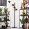 Koyoto Staande lamp 31 cm Koperkleurig, 3-lichts