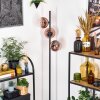 Koyoto Staande lamp 31 cm Duidelijk, Koperkleurig, 3-lichts