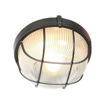 steenhouwer Lisanne Plafondlamp Transparant, 1-licht